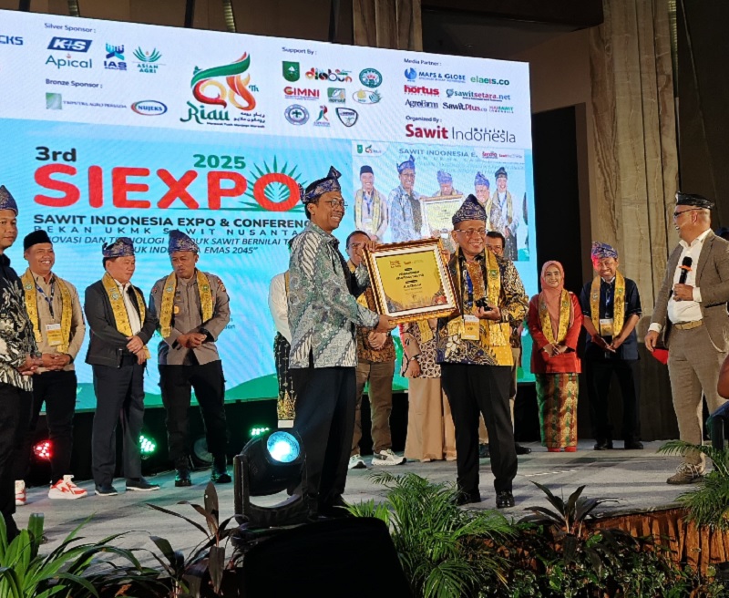 Bupati Rohil H Bistamam menerima penghargaan sebagai pembina pengembangan usaha kecil menengah dan koperasi di bidang sawit.