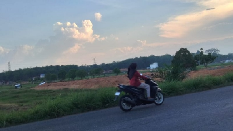 Areal persawahan di Desa Simpang Kubu, Kecamatan Kampar, Kabupaten Kampar mulai ditimbun pemilik lahan, Kamis (7/8/2025).