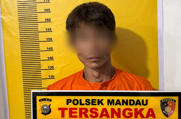 Pelaku penganiayaan ibu kandungnya diamankan di Mapolsek Mandau untuk proses penyidikan lebih lanjut, Senin (11/8/2025).