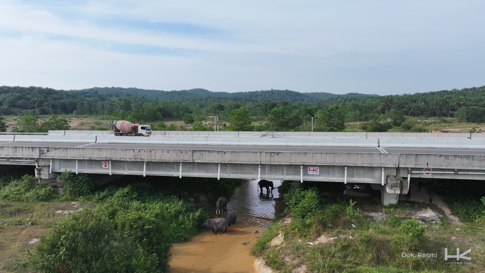 Gajah Sumatera tampak tengah melintasi terowongan gajah jalan Tol Pekanbaru-Dumai (Permai), baru-baru ini.