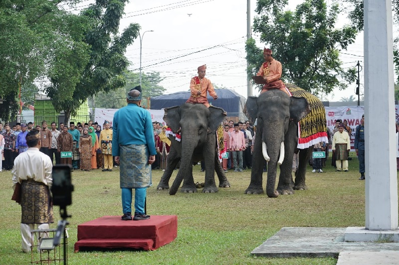 Sepasang gajah sumatera turut menjadi petugas upacara HUT RI di halaman Kantor BBKSDA Riau pada Ahad (17/8/2025).