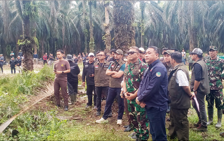 Komandan Satuan Tugas Penertiban Kawasan hutan Mayjen TNI Dody Triwinarto dan jajaran menyaksikan penumbangan dan reforestasi.
