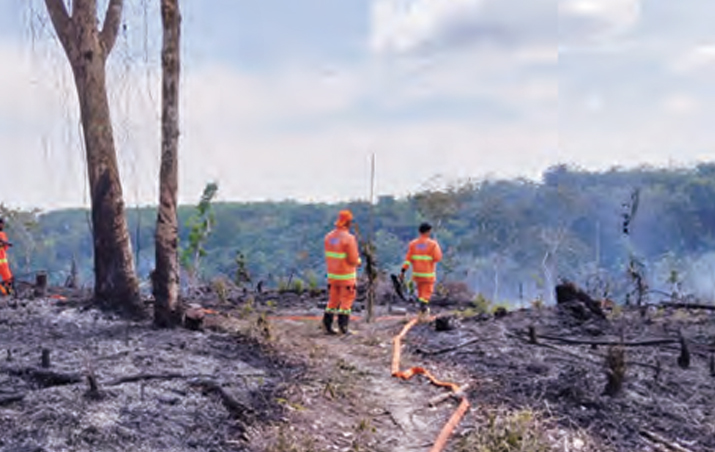 Personel tim  gabungan melakukan  pendinginan  terhadap lahan  yang terbakar  di Getah  Sebatang, Desa Siabu,  Kecamatan Salo, Kabupaten  Kampar,Senin  (18/8/2025)