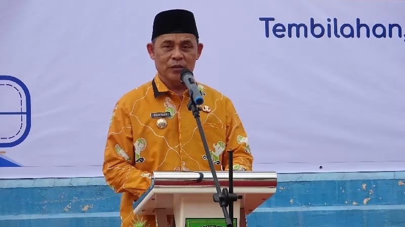 Bupati Indragiri Hilir, Herman