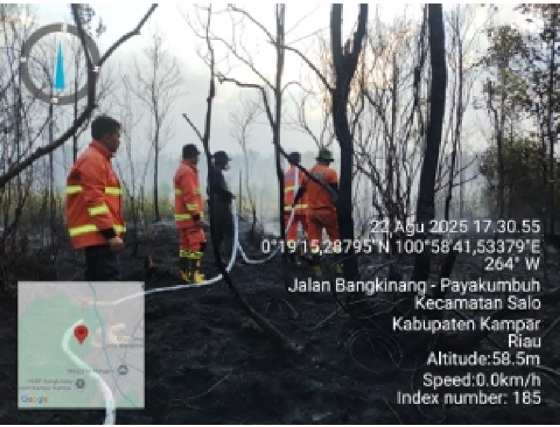Tim Satgas Gabungan memadamkan api yang membakar lahan di Rimbo Panjang, Kecamatan Tambang, Kabupaten Kampar, Jumat (22/8/2025).