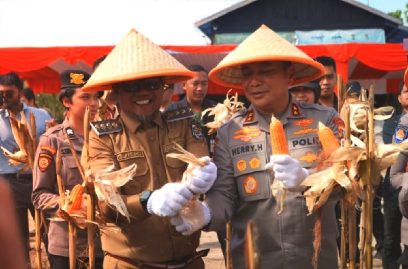 Bupati Pelalawan H Zukri mendampingi Kapolda Riau, Irjen Pol Herry Heryawan menghadiri panen raya jagung pipil yang digelar Polres Pelalawan, Senin (25/8/2025).