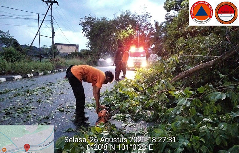 Satgas TRC Pusdalops-PB BPBD Kabupaten Kampar bersama masyarakat membersihkan pohon tumbang di Kelurahan Langgini, Kecamatan Bangkinang Kota, Selasa (26/8/2025).