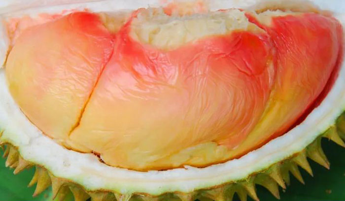 Durian Pelangi