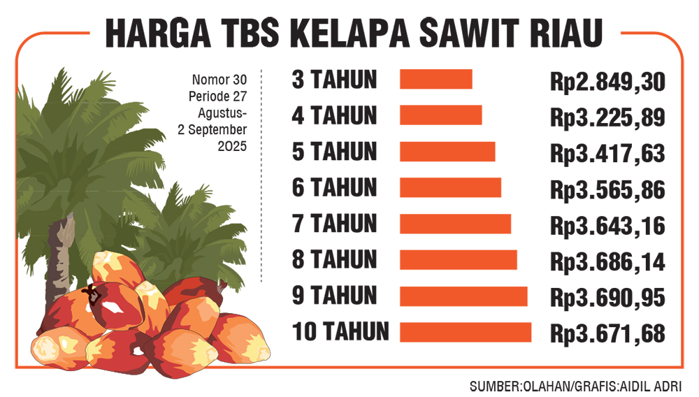 Naik, Harga Kelapa Sawit Mitra Pekan Ini Jadi Rp3.690 per Kg