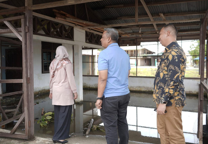 Bupati Rohul Anton ST MM didampingi Plt Kadisperkim Rohu Desma Diana meninjau lansung kondisi paskaterbakarnya Rumdis Camat Kunto Darussalam, Kamis (28/8/2025) siang.