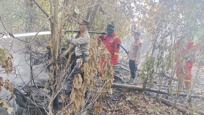 Kapolsek Pangkalan Kuras AKP Renaldi Parlindungan Situmeang SH melakukan pendinginan karhutla yang telah membakar lahan semak belukar di Desa Kesuma, Pangkalan Kuras, Pelalawan, Kamis (28/8/2025).