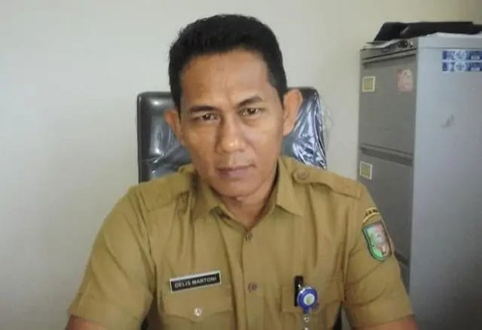 Kadis Kopdagrin Kuansing, Delis Martoni
