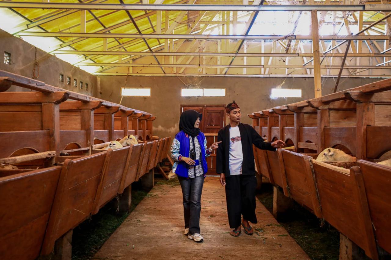Penerima KUR BRI di sektor peternakan berdiskusi dengan pendamping usaha. Program ini mendorong pelaku UMKM untuk meningkatkan skala bisnis dan kesejahteraan