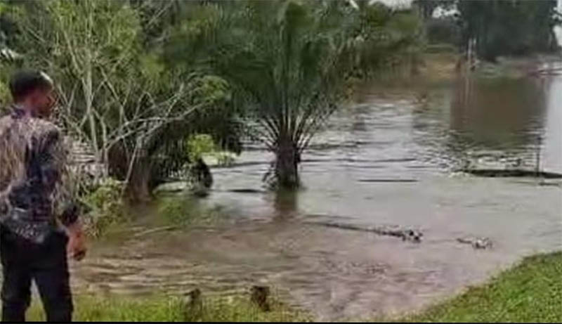Warga melihat dan menyaksikan fenomena abrasi tanah bergerak yang masuk ke dalam Sungai Kampar di Desa&nbsp;Kuala&nbsp;Terusan, Kecamatan Pangkalan Kerinci, Kabupaten Pelalawan, Riau, Selasa (2/9/2025) sore.