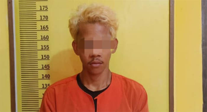 Jajaran Polsek Kampar Kiri menangkap AF karena terlibat kasus persetubuhan di Pasar Malam Gunung Sahilan, Kecamatan Gunung Sahilan, Kabupaten Kampar, Kamis (4/9)