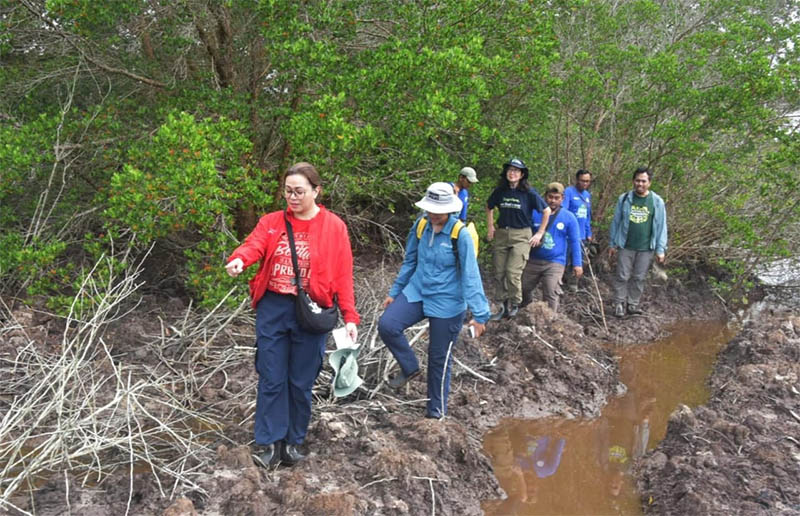 Tim YKAN bersama Pemdes Kembung Luar melakukan monitoring dan evaluasi kegiatan restorasi mangrove.