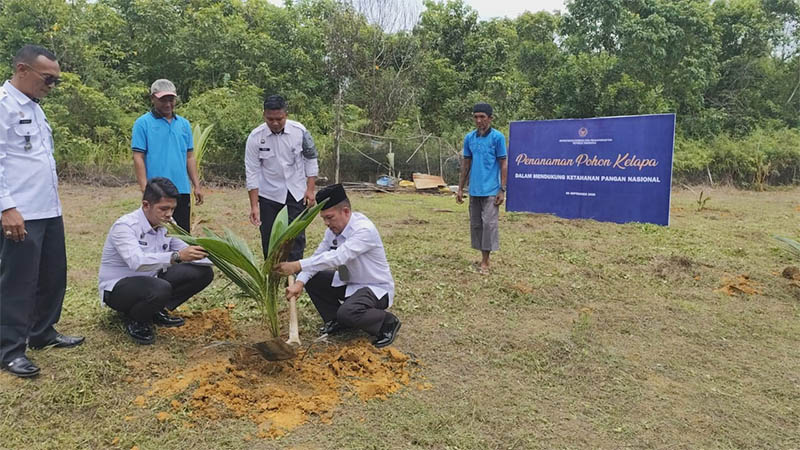 Kepala Rutan Rengat, Ridar Firdaus Ginting SH didampingi pejabat lainnya saat menanam pohon kelapa sebagai upaya menjaga ketahanan pangan, Rabu (10/9/2025).