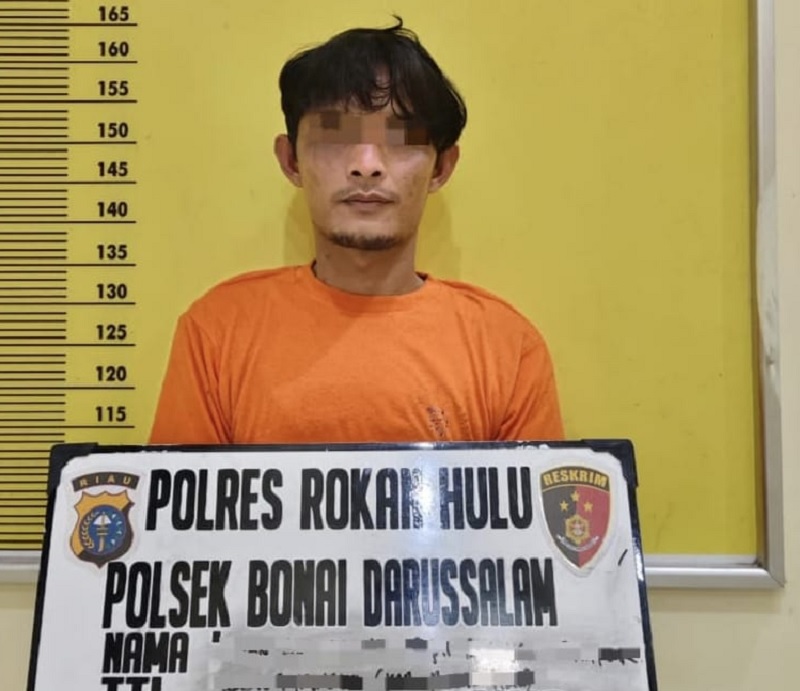 Tersangka pencurian TBS kelapa sawit berinisial IS alias Pijai diamankan Polsek Bonai Darussalam, Selasa (9/9/2025).