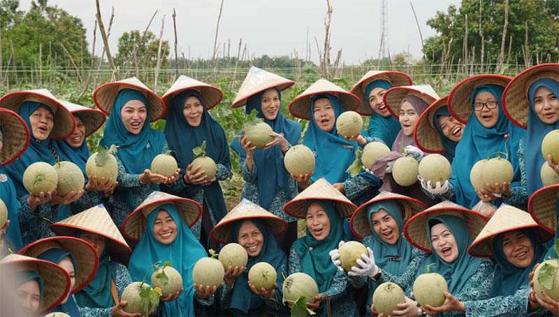 Ketua TP PKK Kota Pekanbaru, Sulastri Agung bersama kader foto bersama saat melakukan aktivitas panen melon di Kampung Entrepreneur, Kamis (11/9/2025).