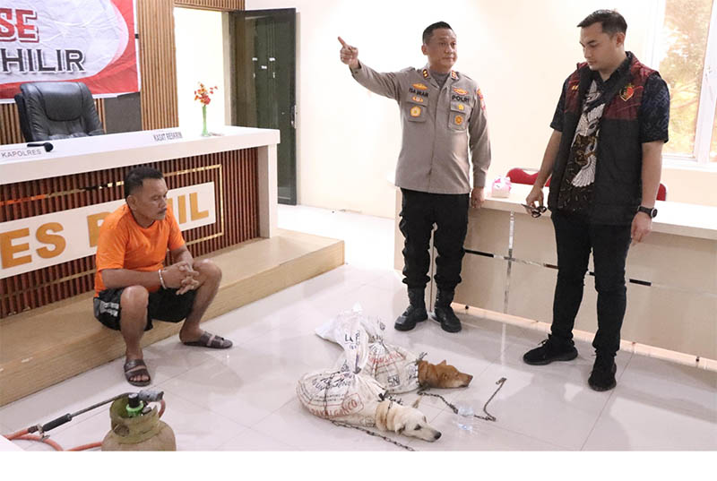 Kapolres Rohil AKBP Isa Imam Syahroni memperlihatkan tersangka Melanton Barus dan dua ekor anjing yang berhasil diselamatkan dari aksi penjagalan, pada saat press release di Ujung Tanjung
