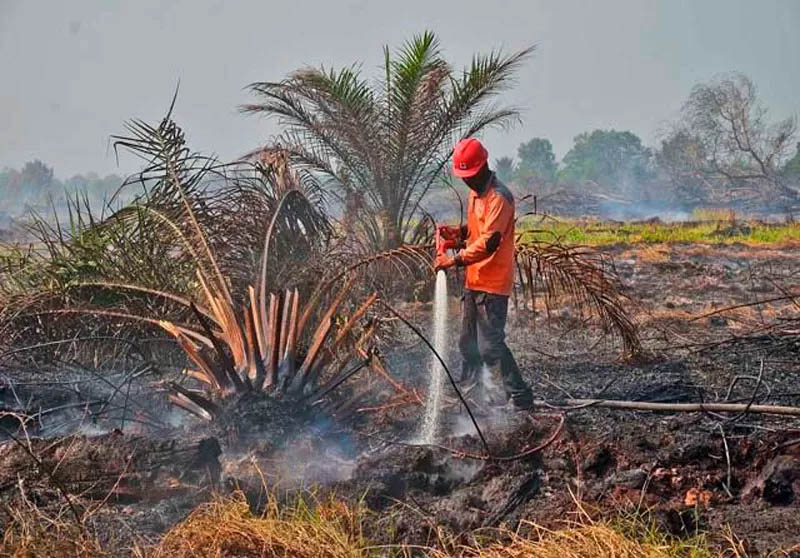 Ilustrasi petugas melakukan pemadaman karhutla. Dua wilayah Riau kembali ditemukan hotspot.