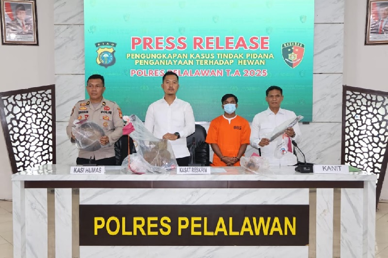 Kasat Reskrim AKP I Gede Yoga Eka Pranata, STrK, SIK memimpin pengungkapan kasus penjagal anjing di Kota Pangkalan Kerinci, Kabupaten Pelalawan, Senin (15/9/2025) di kantor Polres Pelalawan.