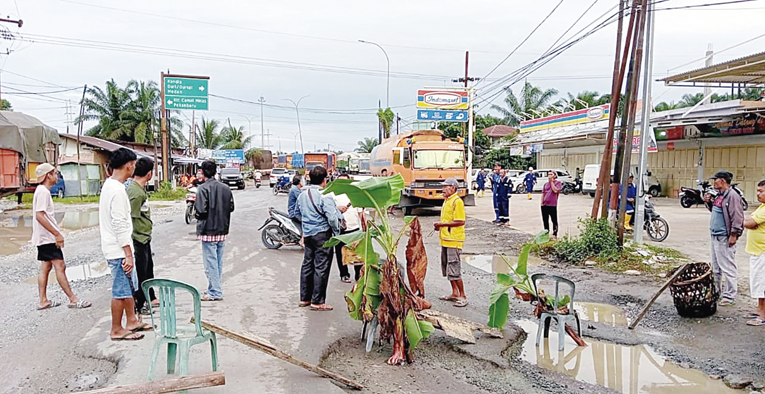 Warga melakukan aksi blokir Jalan Lintas Minas-Perawang dengan menanam pohon pisang di jalan rusak, Senin (15/9/2025).