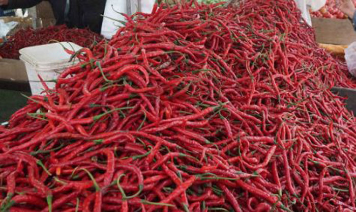 Ilustrasi cabai merah