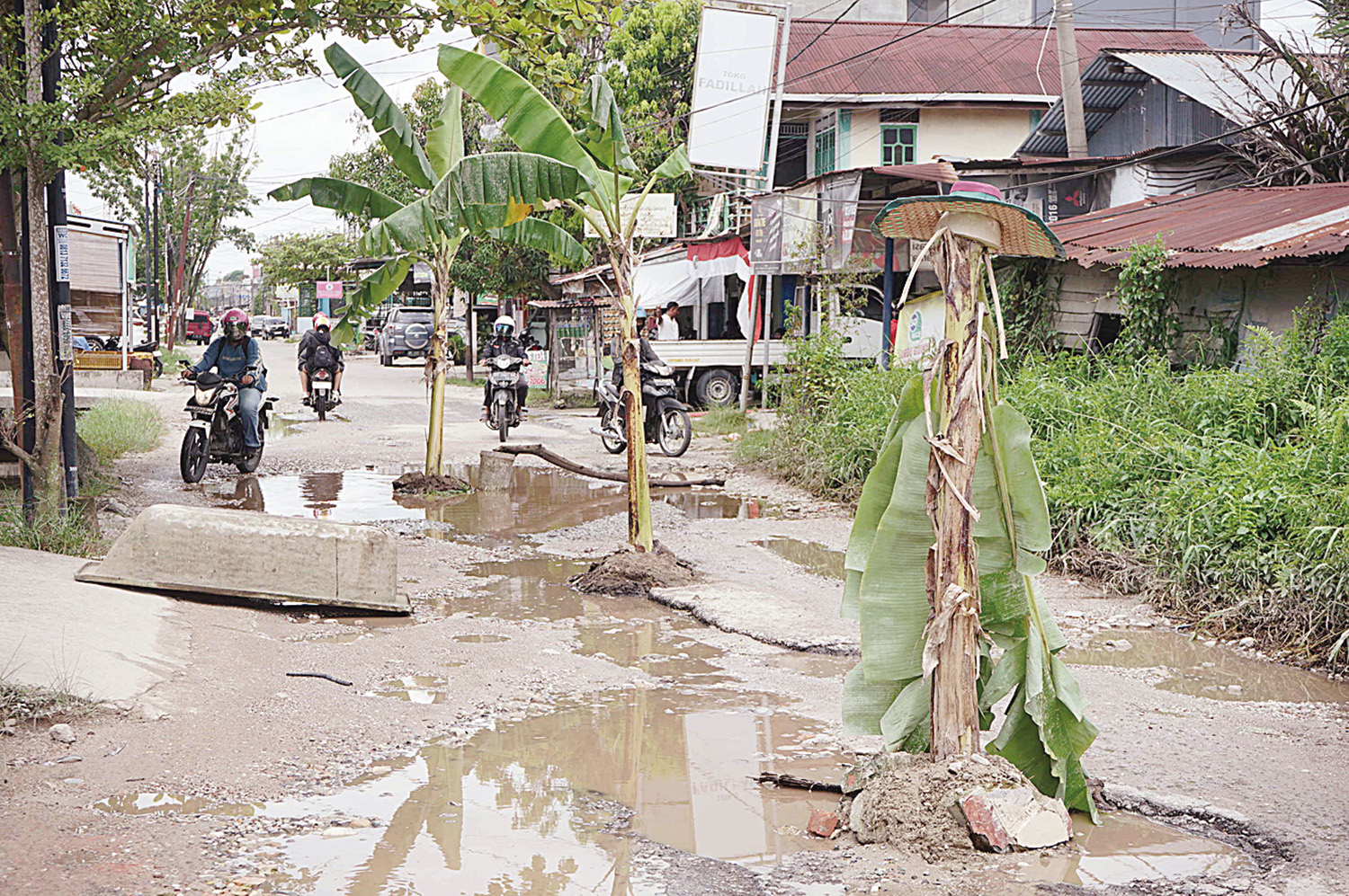 Sejumlah pohon pisang ditanam oleh warga di Jalan Panglima/Lili ujung, Kelurahan  Labuhbaru Timur, Kecamatan Payung Sekaki, Pekanbaru yang mengalami kerusakan parah, Selasa (16/9/2025).