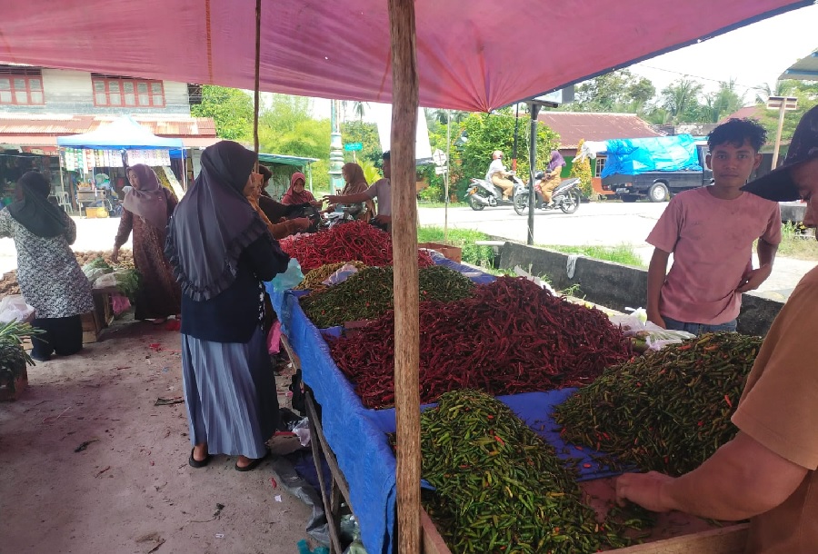 Harga cabai merah keriting asal Sumatera masih bertahan diangka Rp100 ribu per kg atau turun Rp5 ribu jika banding pekan lalu di pasar kaget Desa Selatbaru Kecamatan Bantan, Selasa (16/2025).