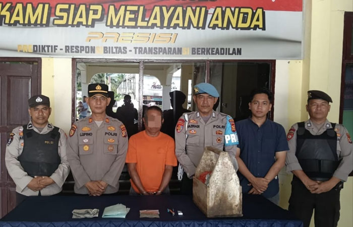Kapolsek Kabun AKP Effendi Lupino SH menunjukkan tampang tersangka AAO (59) sebagai pengedar ganja kering yang telah diamankan di Mapolsek Kabun, Kamis (18/9/2025).