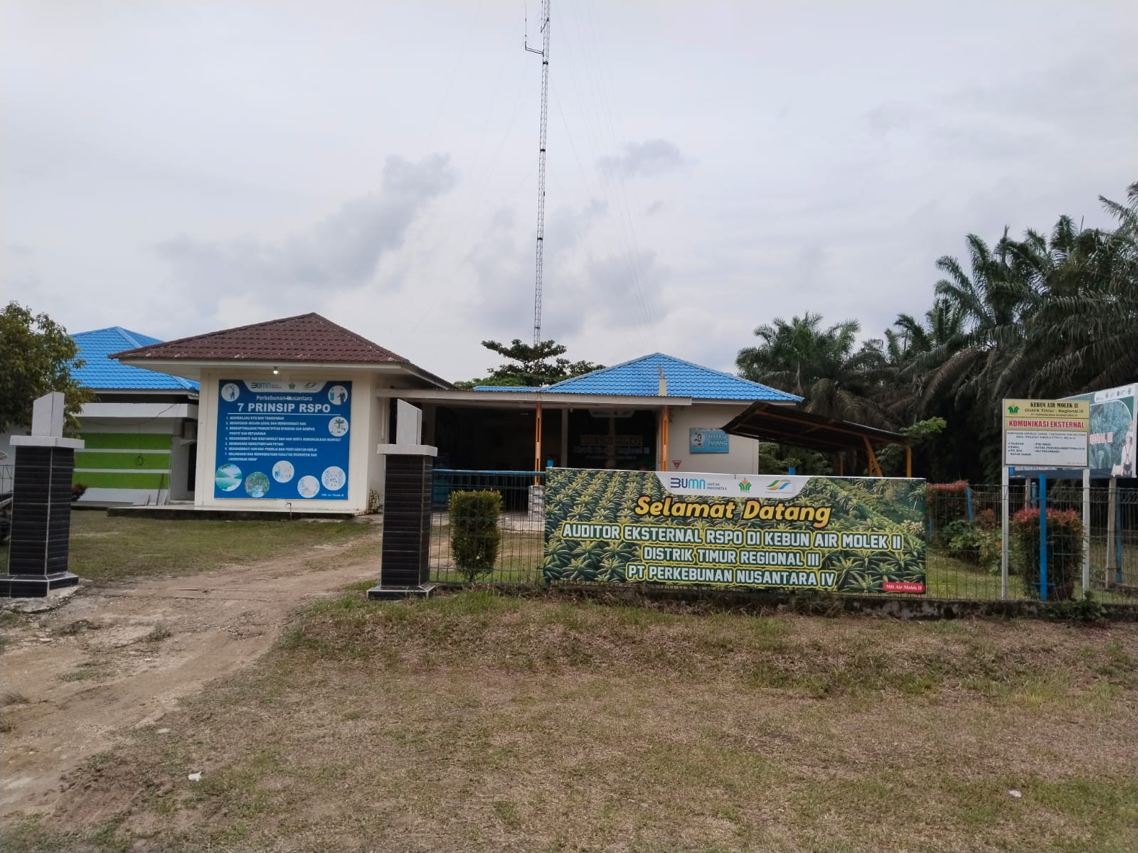 Lokasi Kebun Air Molek (AMO) II Distrik Timur Regional III PTPN IV. Foto diambil beberapa waktu lalu.