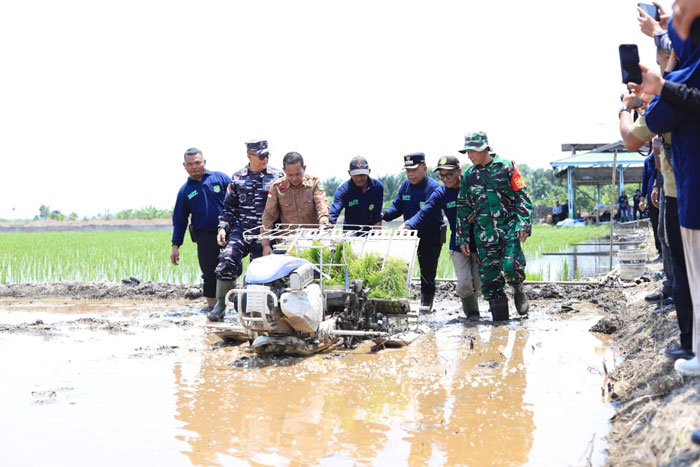Bupati Kepulauan Meranti, AKBP (Purn) H. Asmar, turun sosialisasi pertanian kepada petani Pulau Rangsang, Kamis (25/9/2025).