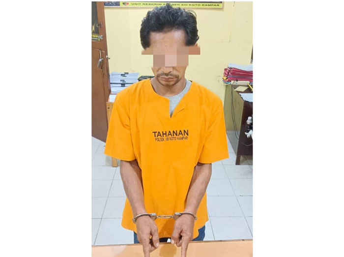 Jajaran Polsek XIII Koto Kampar berhasil mengamankan seorang pria berinisial RU, warga Desa Tebing, Kecamatan XIII Koto Kampar Hulu, Kabupaten Kampar, Ahad (28/9/2025).