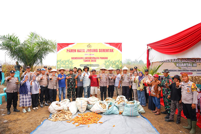 Kapolres Bengkalis AKBP Budi Setiawan memanen jagung di lahan seluas 1 ha di Jalan Bengkalis Indah Simpang Jalan Lingkar, Kelurahan Balairaja, Kecamatan Pinggir yang langsung dikrim ke Bulog