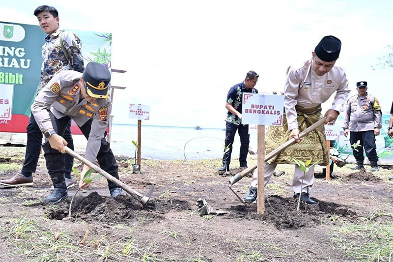 Kapolda Riau Irjen Pol Herry Heryawan menanam bibit pohon mangrove bersama Hima Persis Riau di Pantai Perapat Tunggal, Kecamatan Bengkalis, Jumat (3/10/2025).