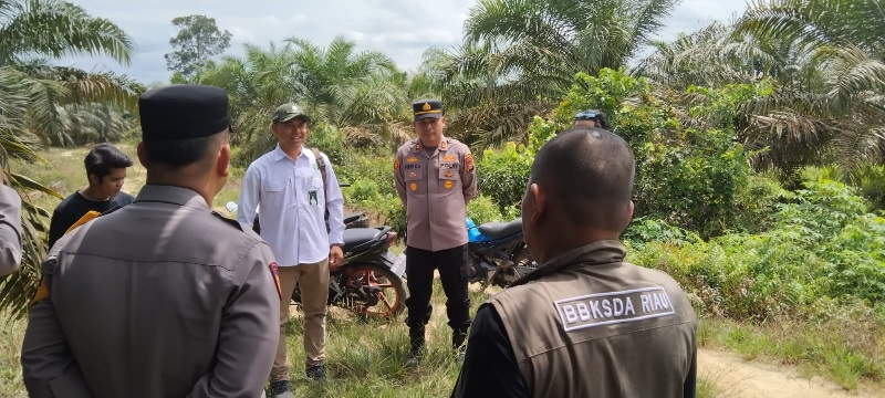 Tim BBKSDA Riau bersama Personel Polri saat turun mengecek lokasi yang dilaporkan warga sempat muncul hewan diduga harimau di Desa Penghidupan, Kampar Kiri, Sabtu (4/10/2025).