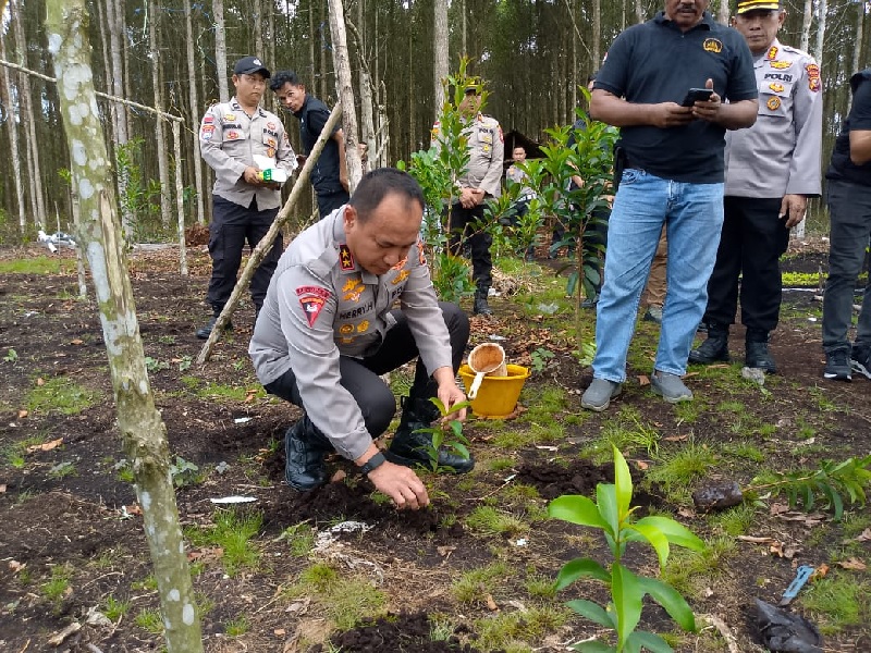 Kapolda Riau Irjen Pol Dr Herry Heryawan melakukan penanaman bibit geronggang di Sentral Budidaya Pohon Geronggang (Cratoxylon arborescens) di Jalan Poros sei Alam-Selatbaru Desa Air Putih Kecamatan.