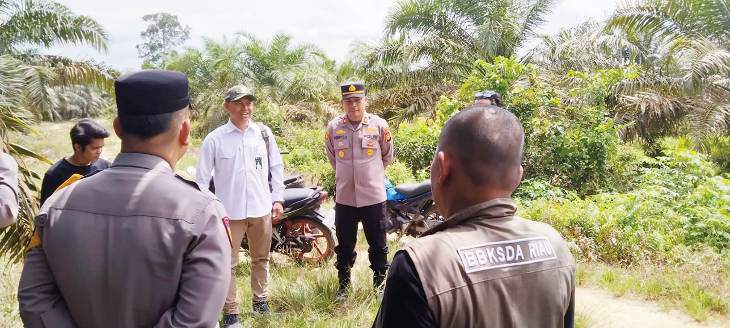 MENGECEK LOKASI: Tim BBKSDA Riau bersama personel Polri turun mengecek lokasi yang dilaporkan warga sempat muncul hewan diduga harimau di Desa Penghidupan, Kampar Kiri, Sabtu (4/10/2025)