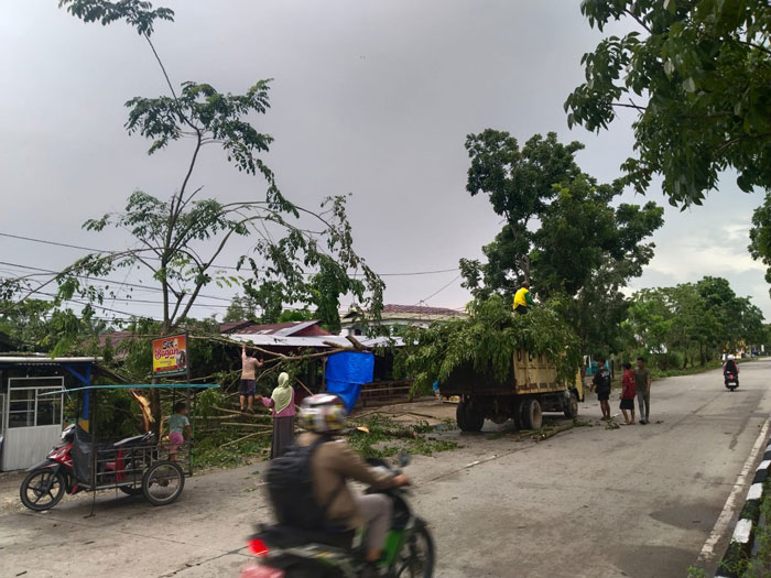 Pohon tumbang menimpa sebuah rumah warga di jalan lintas kecamatan, Bagansiapiapi, Rohil.