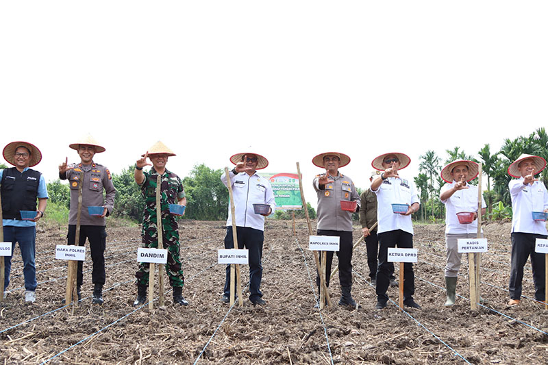 Kapolres Inhil AKBP Farouk Oktora bersama Forlopimda menanam jagung di lahan seluas 1 hektare di Desa Teluk Jira, Tempuping, Inhil, Rabu (8/10/2025).