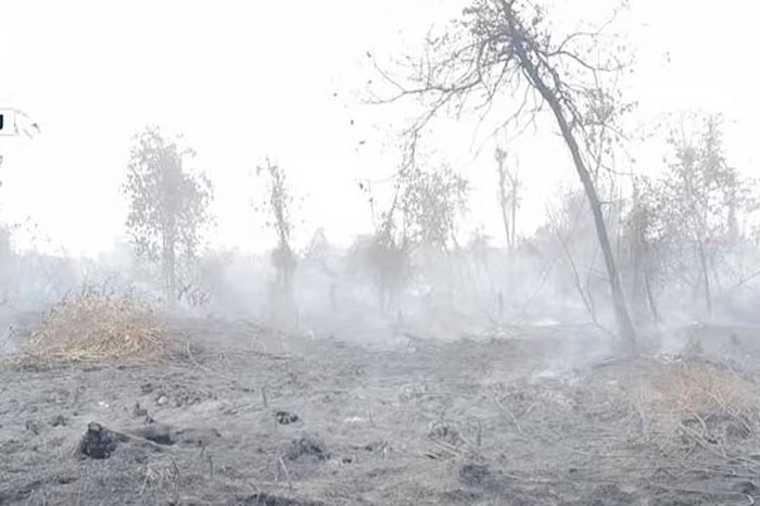 Ilustrasi. Titik panas di wilayah Riau terdeteksi di Kabupaten Siak  1, dan Kabupaten Rokan Hilir 1.