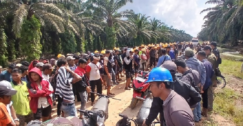 Ratusan masyarakat Rupat berhadapan dengan karyawan perusahaan dan berusaha memblokir jalan masuk perkebunan PT Priatama Riau di Desa Darul Aman, Kecamatan Rupat pada, Rabu (15/10/2025).