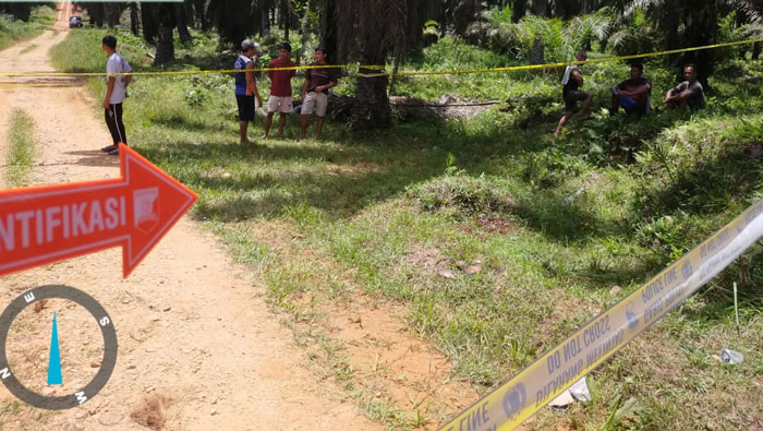 Lokasi kejadian pembunuhan warga Desa Muara Tobek Kecamatan Pucuk Rantau, 18 September 2025 lalu.
