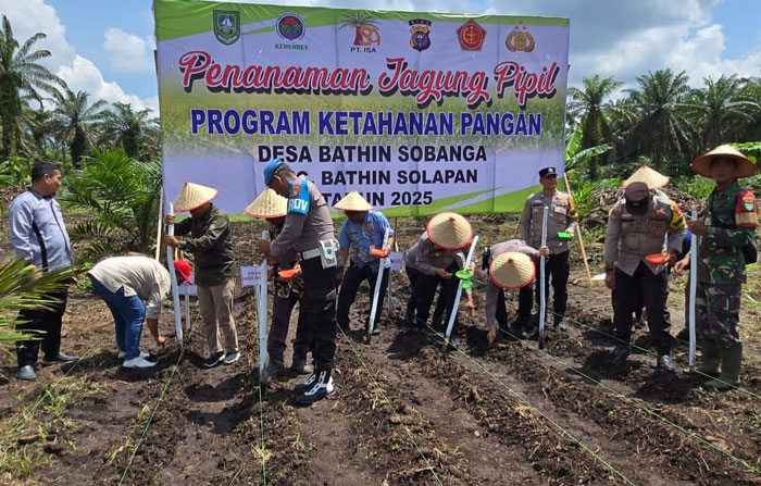 Polsek Mandau bersama petani menanam jagung di Desa Bathin Sobanga, Kecamatan Bathin Solapan.