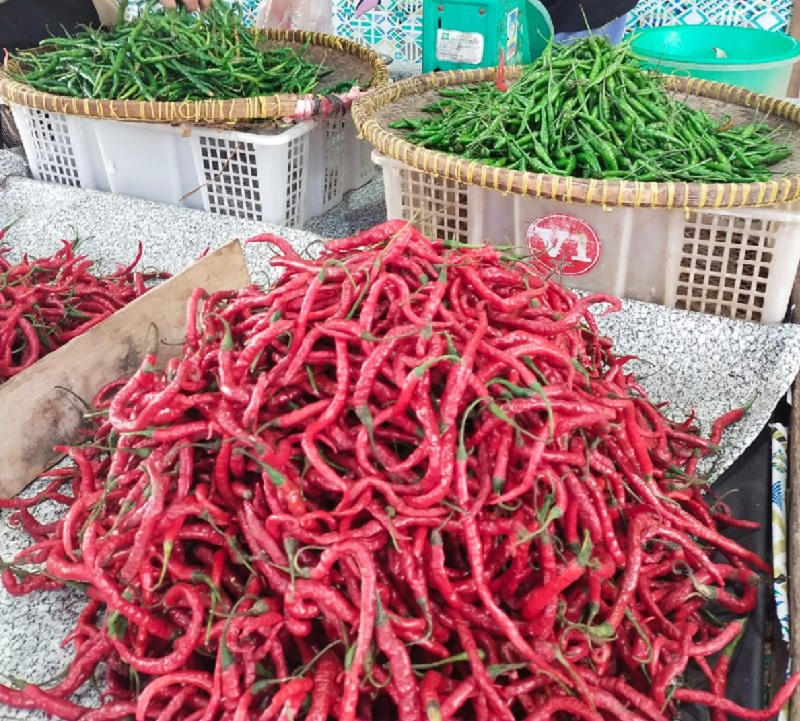 Keberadaan cabai merah keriting di Pasar Terubuk Bengkalis nyaris putus dan satu pedagang saja yang menjual abai merah keriting asal Sumbar dengan harga yanh cukup tinggi, Rabu (22/10/2025).