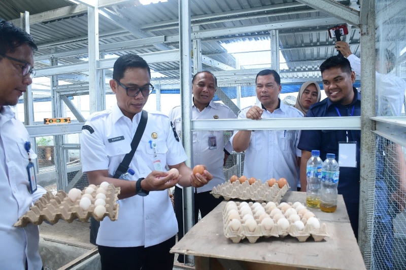 Kalapas Priyo Tri Laksono bersama timnya meninjau lokasi peternakan ayam yang sudah dimiliki Lapas Bengkalis, Rabu (22/10/2025).