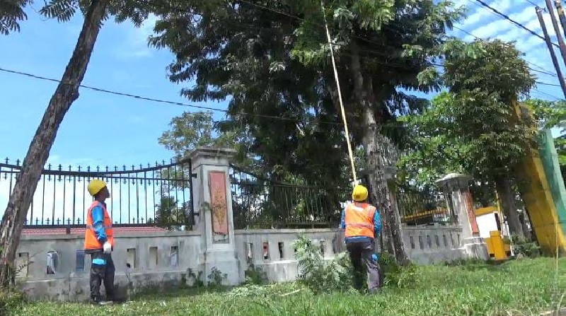 Petugas PLN tengah melakukan pemangkasan pohon pada titik jaringan PLN, Jumat (24/10/2025)