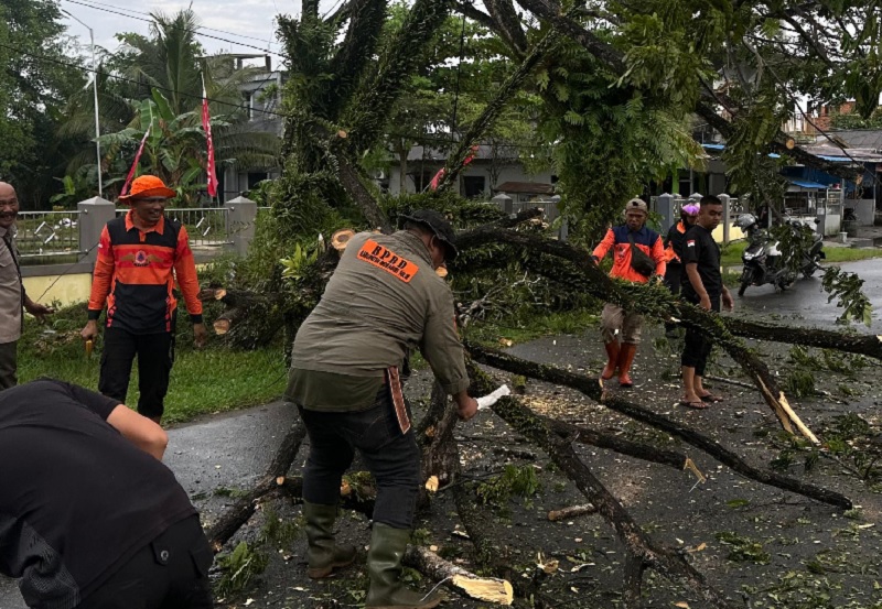 TRC BPBD Inhil melakukan pemotongan kayu besar yang tumbang ke jalan di Jalan Baharuddin Yusuf, Tembilahan, Senin (27/10/2025).