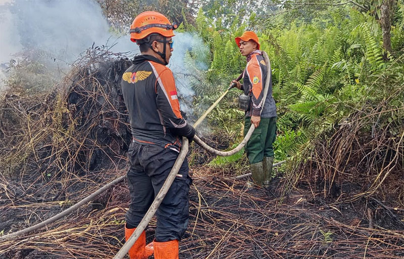Petugas BPBD Inhil melakukan pemadaman dan pendingin di lokasi Karhutla di Desa Bayas Jaya, Kecamatan Kempas, Inhil, Rabu (29/10/2025).